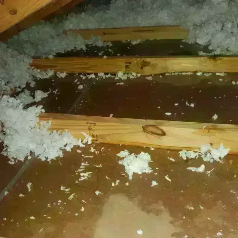 Attic Water Damage in Snowflake, AZ