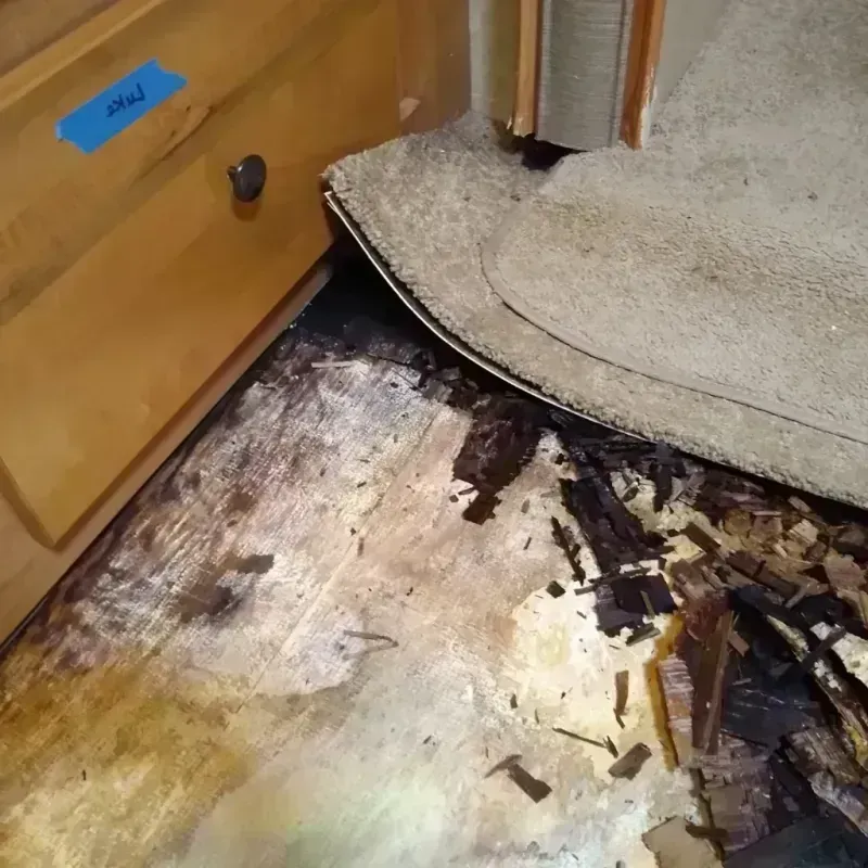 Best Wood Floor Water Damage Service in Snowflake, AZ